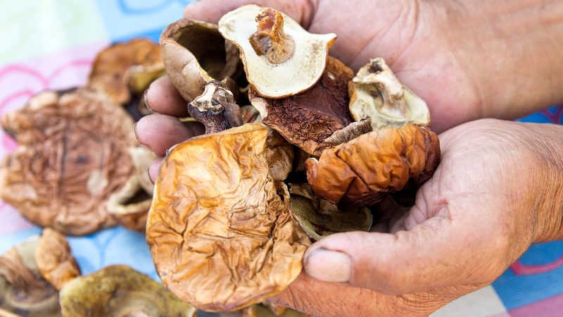 Extrakt z huby Shiitake Facebook