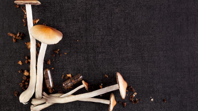 liečivé huby a rakovina