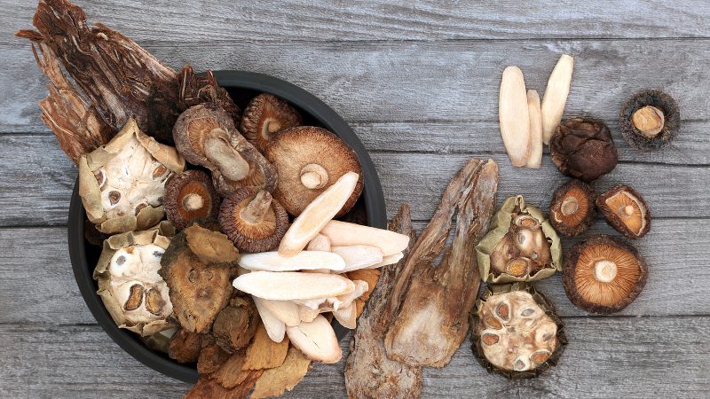 liečivé huby na kĺby